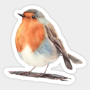 Cute robin bird painting Sticker